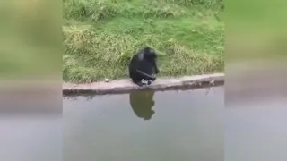 قسمت دوم التماس