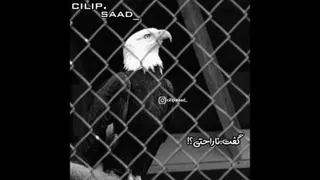 عقاب بودن هنره