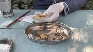 چه ساعتی بود چه ساعتی شد