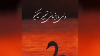 ماجرای عاشقونه اوازقو که خیلی جالب وشنیدنیه...!!!