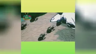 کارتون وبرنامه کودک
