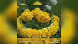 تولد امام حسن عسگری