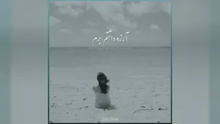 کلیپ