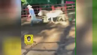 آخخخخخخخخخخخخ..........