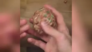 اشپزی ساده
