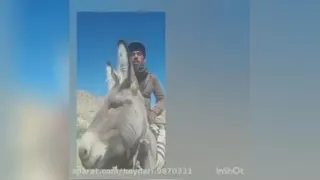طنز