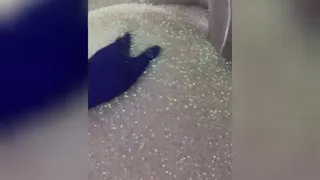 اسلایم