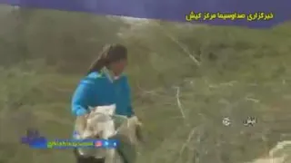 زندگی یک بانوی بلژیکیدر جزیره کیش