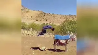 پارکور