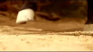 خط آغاز