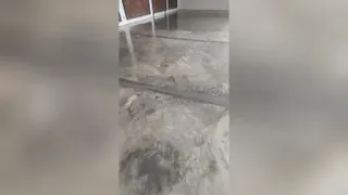 کفپوش اپوکسی