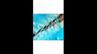 تحول جهان در 2020