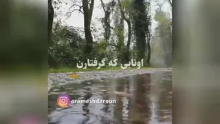 خدایا شکرت