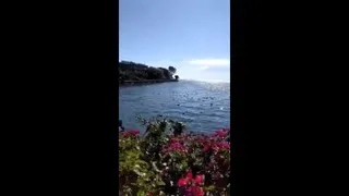 تقدیم به شما که آرامش و زیبایی زیبنده شماست