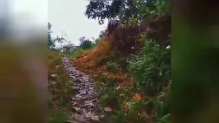 عیدتون کلی مبارک باشه😍