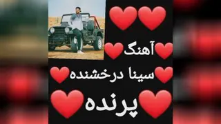 آهنگ پرنده سینا درخشنده😍🤩