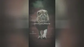تسلیم نشدن