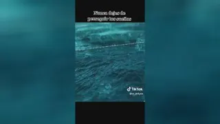 مویدعوموزیک ارامبخش