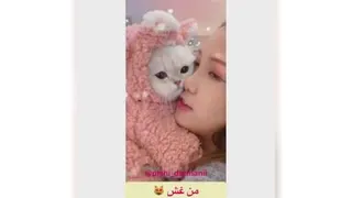 پیشی ملوس