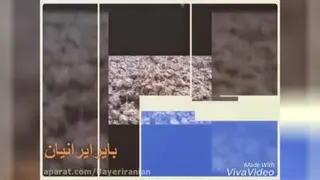 سقف عرشه فولادی قم9121505650