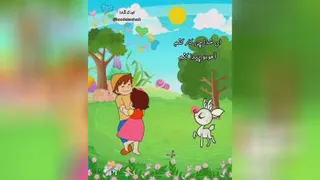 سایر