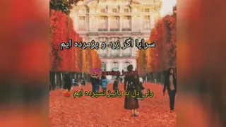 ویدیوگرافی
