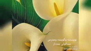 معنایی برای فردا