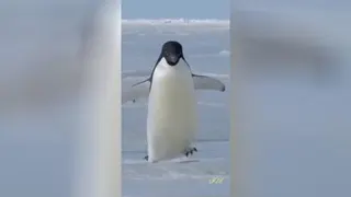 چشم ها را باید شست