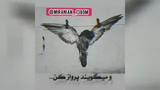 www.enama.ir/C106942920552021420208