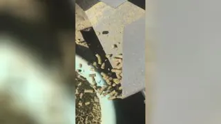 ساخت انواع دستگاه پلت