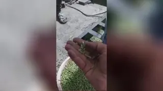 ساخت انواع دستگاه پلت