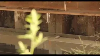 عملیات تزریق دوغاب جهت بهسازی خاک