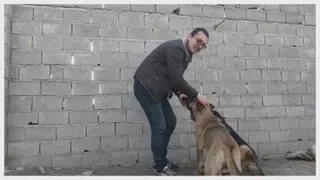 آموزش نشستن به سگ . فرمان بشین