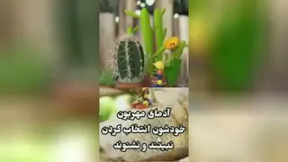 خوبی آدمهای مهربون