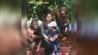 کلیپ 😊😊