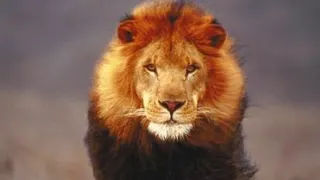 پس از من