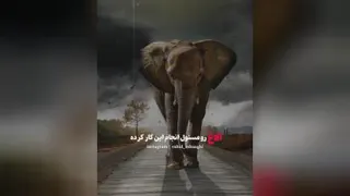 حکایت فیل