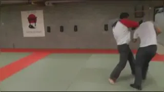 وینگ چون سازمان EWTO اروپا (وینگ چون مدرن)