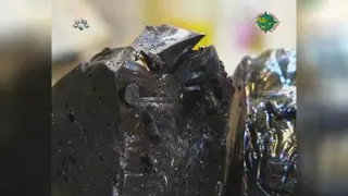 عطاری سید یاسر