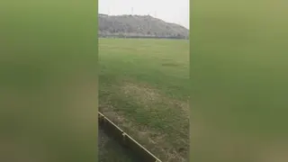 سوارکاری