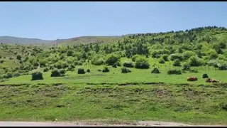 طبیعت رویایی مازندران