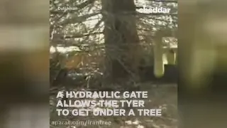 سیم‌پیچی درختان🌳