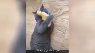 وضعیت وعده کاندیداها