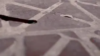 کلیپ مفهومی