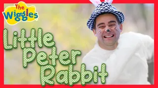 Little Peter Rabbit 🐇 The Wiggles Nursery Rhyme for Toddlers