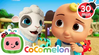 Mary Had a Little Lamb 🐑| CoComelon - Preschool Learning | Kids Songs & Nursery Rhymes