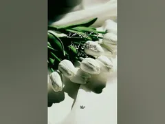 تو خورشیدی و یا زهره و یا ماهی نمیدانم