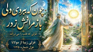 چون سر کس نیستت فتنه مکن دل مبر/چون که ببردی دلی باز مرانش ز در / مولانا غزل شماره ۱۱۲۵