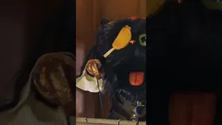 جشنواره شگفت‌انگیز رامبد جوان