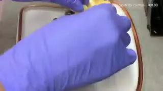 کار در رستوران ماچا قهوه چیز کیک 🌿🪿